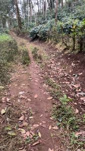 Image of 96703 Sq.ft Residential Plot / Land for sale in Puttur Taluk, Kodagu for Rs. 6500000