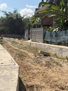 Azara Plot View 3