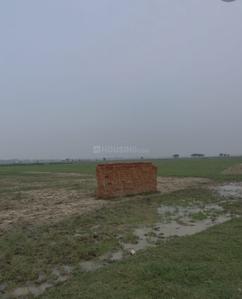 Image of 1000 Sq.ft Residential Plot / Land for sale in Tal Kandala, Gorakhpur for Rs. 799000