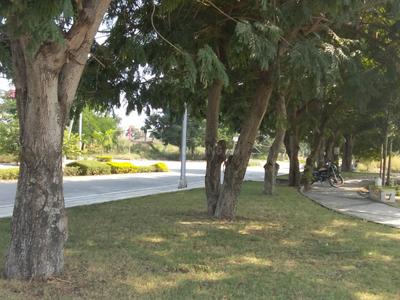 Image of 800 Sq.ft Residential Plot / Land for sale in Tejaji Nagar, Indore for Rs. 4351000