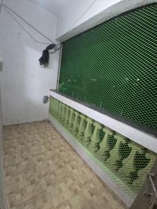 Balcony Image of 510 Sq.ft 1 RK Apartment / Flat for rent in Swaraj Complex, Wadgaon Sheri Pune for Rs. 15000
