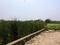 Sonargaon 2 Main Image 1