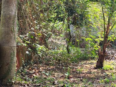 Image of 26133 Sq.ft Residential Plot / Land for sale in Poovanthuruthu, Kottayam for Rs. 24000000