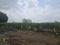 Aarohi Park Phase 5 Plot View 2