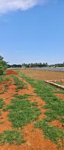 Image of 1000 Sq.ft Residential Plot / Land for sale in Ashok Nagar, Bhubaneswar for Rs. 1280000