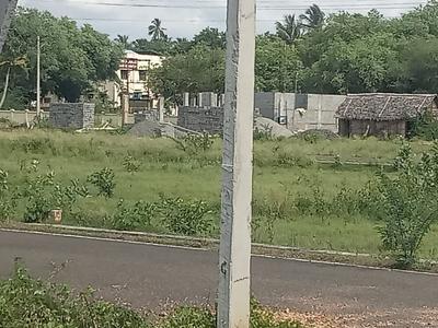CKP Garden Plot View 3