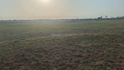 Image of 80000 Sq.ft Residential Plot / Land for sale in Khordha, Khordha District for Rs. 27540000