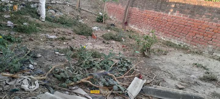 Chhataripur Main Image 1