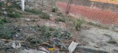 Chhataripur Plot View 1