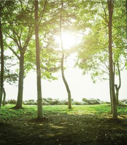 Image of 748 Sq.ft Residential Plot / Land for sale in Ruby Celestia, Sriperumbudur, Chennai for Rs. 2500000
