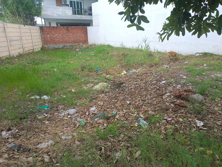 Satya Merano Greens Main Image 1