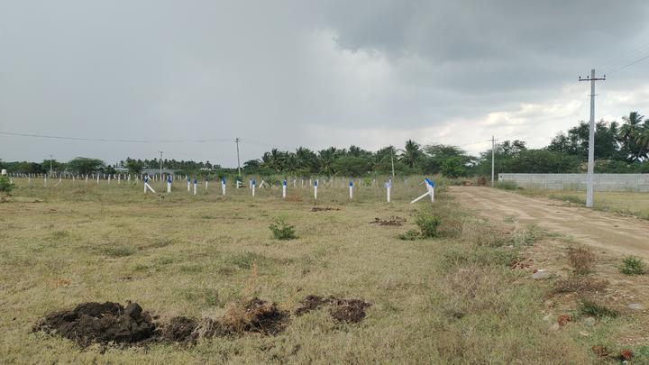 Kalapatti Main Image 1