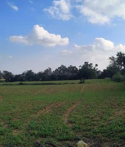 Shankarpally Plot View 3