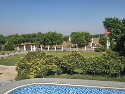 Mahla Ajmer Road Plot View 3