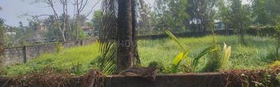 Image of 4350 Sq.ft Residential Plot / Land for sale in Maradu, Kochi for Rs. 8500000