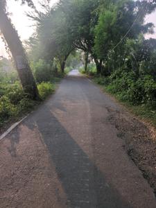 Image of 1440 Sq.ft Residential Plot / Land for sale in New Town, Kolkata for Rs. 2550000
