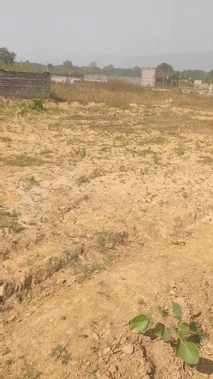 Rainbow Drive Main Image 1