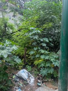 Image of 4020 Sq.ft Residential Plot / Land for sale in Banaswadi, Bengaluru for Rs. 88400000