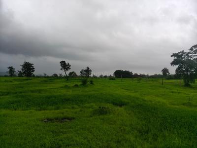 Image of 43560 Sq.ft Residential Plot / Land for sale in Murbad, Thane for Rs. 6400000