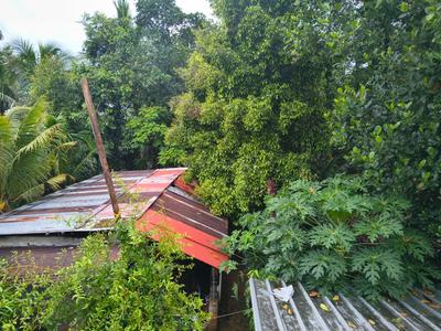 Image of 6970 Sq.ft Residential Plot / Land for sale in Kalady, Kochi for Rs. 9500000