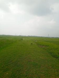 Image of 1000 Sq.ft Residential Plot / Land for sale in Tal Kandala, Gorakhpur for Rs. 799000