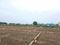 Perne Plot View 2