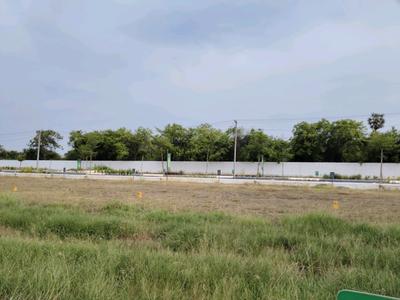 Residential Plot