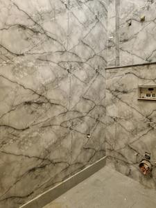 Common Bathroom Image of 600 Sq.ft 2 BHK Apartment / Flat for sale in Dwarka Mor New Delhi for Rs. 4400000