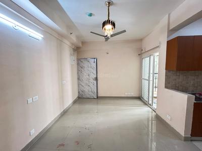 Hall Image of 804 Sq.ft 2 BHK Apartment / Flat for rent in Amrapali Dream Valley 2, Noida Extension Greater Noida for Rs. 18000