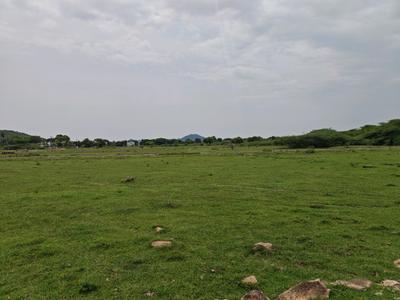 Image of 980 Sq.ft Residential Plot / Land for sale in Paranur, Chennai for Rs. 1469026