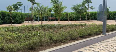 Image of 1200 Sq.ft Residential Plot / Land for sale in Vidhan Sabha Road, Raipur for Rs. 2880000