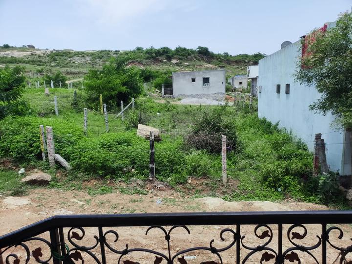 Bannerughatta Main Image 1