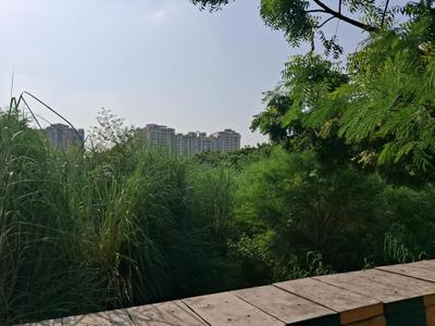Freehold Plots Suitable For Builders Floor Appartments Plot View 2