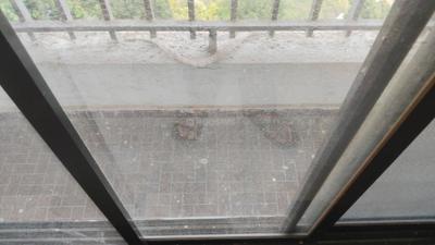 Balcony Image of 1150 Sq.ft 2 BHK Apartment / Flat for sale in Siddhivinayak The Orien, Kalamboli Navi Mumbai for Rs. 12000000