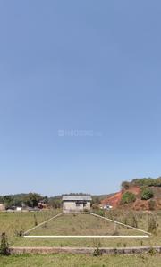 Narengi Tinali Plot View 3