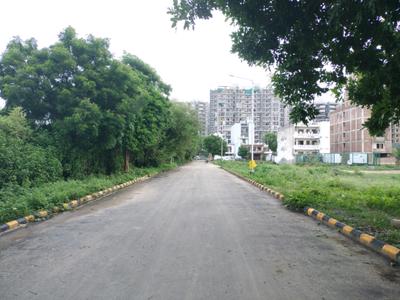BPTP Parklands Pride  Internal Roads 1