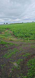 Image of 1000 Sq.ft Residential Plot / Land for sale in Panchderiya, Indore for Rs. 3500000