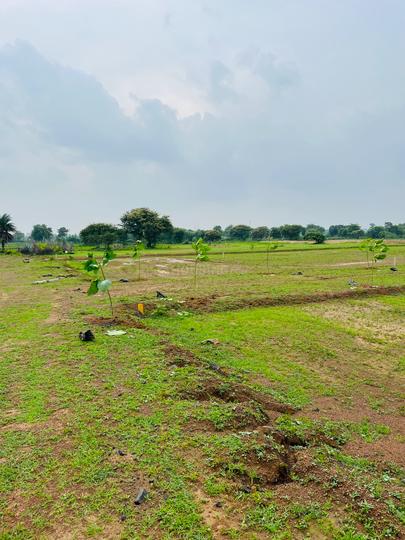 Rama residency  Main Image 1