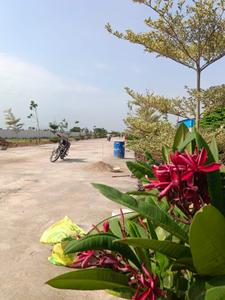 Image of 1650 Sq.ft Residential Plot / Land for sale in SUNSIRI THE ICON, Tadikonda, Guntur for Rs. 4575000