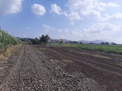 Lokmanya Colony Plot View 2