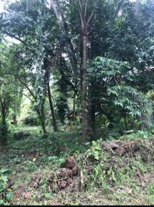 Image of 1200 Sq.ft Residential Plot / Land for sale in Bardez, Goa for Rs. 34500000