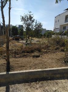 ROYAL RAJPUTANA CO Plot View 1