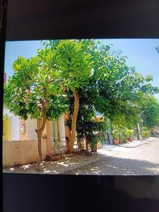 Balcony Image of 1800 Sq.ft 2 BHK Independent House for rent in Vyapti Vraj Homes, Shela Ahmedabad for Rs. 25000