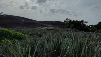 Image of 48563 Sq.ft Residential Plot / Land for sale in Mathicode, Kanyakumari for Rs. 180000000