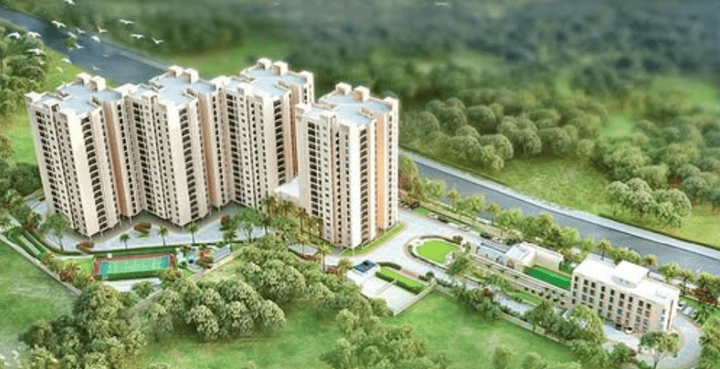 NPS Whitefield Main Image 1