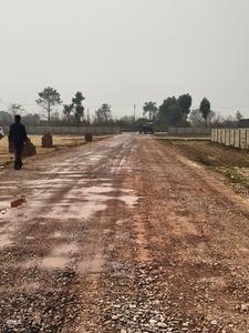 Jindal Nagar Plot View 2