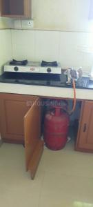 Kitchen Image of 1400 Sq.ft 2 BHK Apartment / Flat for rent in Medical College Thiruvananthapuram for Rs. 35000