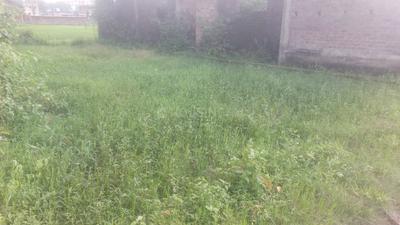 buy and sell realty Plot View 3
