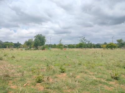 Marsur Plot View 2