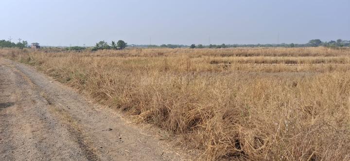 Ranjanpada Main Image 1